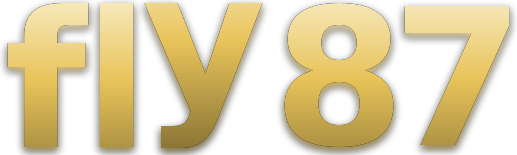 fly 87 logo